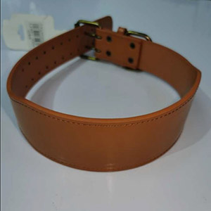 Collar para mascota