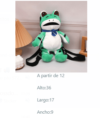 MOCHILA