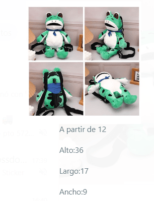 MOCHILA